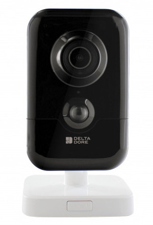 Tycam 1100 indoor caméra de vidéosurveillance Delta Dore