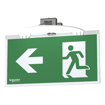 Exiway Smartbeam